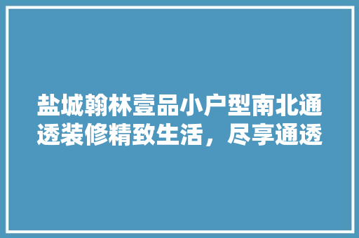 盐城翰林壹品小户型南北通透装修精致生活，尽享通透空间