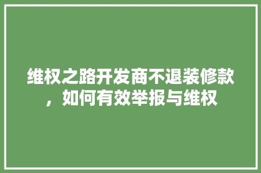 维权之路开发商不退装修款，如何有效举报与维权
