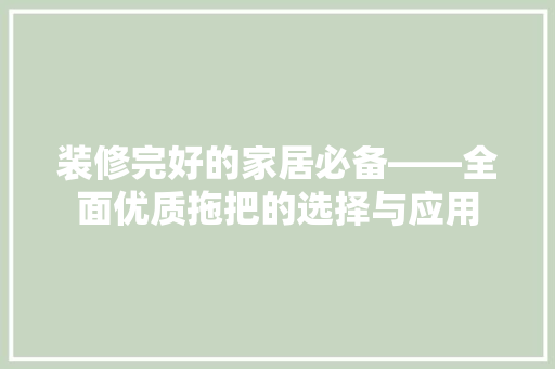 装修完好的家居必备——全面优质拖把的选择与应用