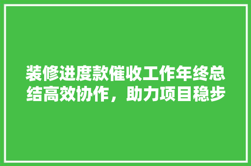 装修进度款催收工作年终总结高效协作，助力项目稳步推进