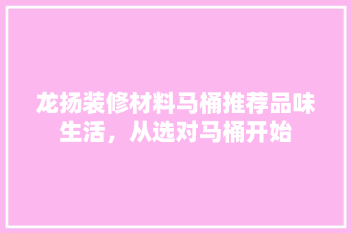 龙扬装修材料马桶推荐品味生活，从选对马桶开始