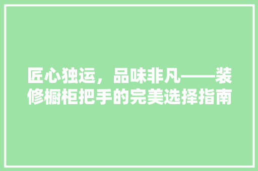 匠心独运，品味非凡——装修橱柜把手的完美选择指南