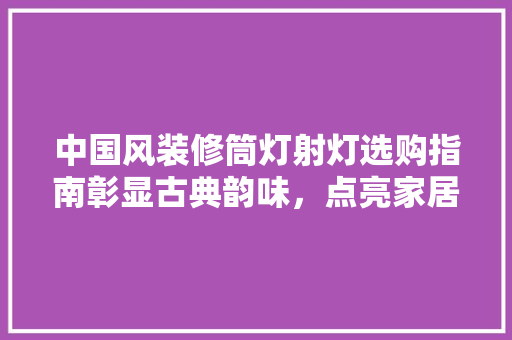 中国风装修筒灯射灯选购指南彰显古典韵味，点亮家居艺术