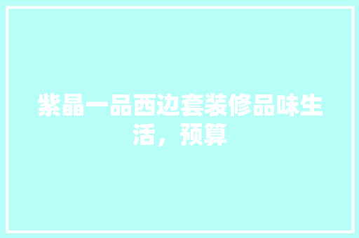 紫晶一品西边套装修品味生活，预算