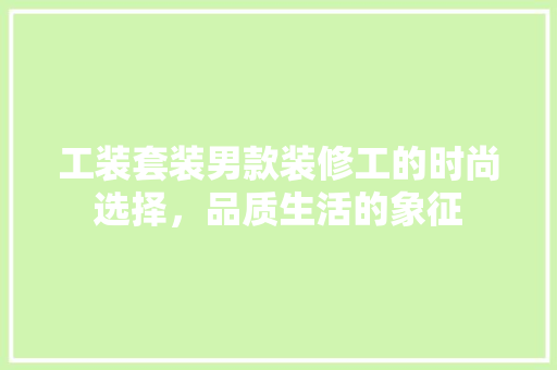 工装套装男款装修工的时尚选择，品质生活的象征