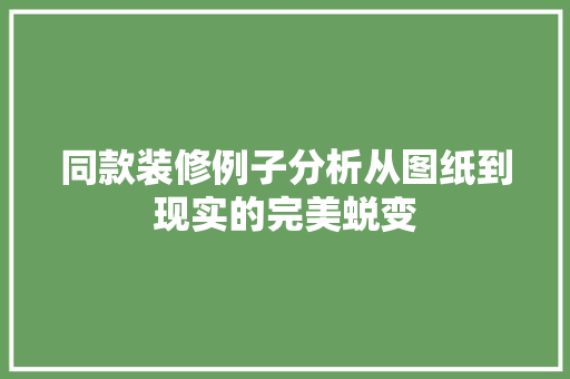 同款装修例子分析从图纸到现实的完美蜕变