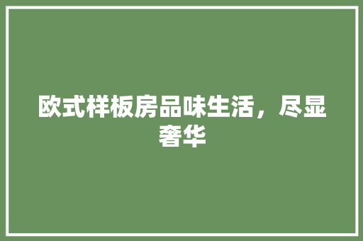 欧式样板房品味生活，尽显奢华