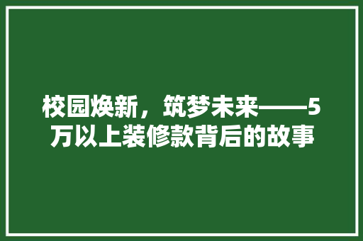 校园焕新，筑梦未来——5万以上装修款背后的故事