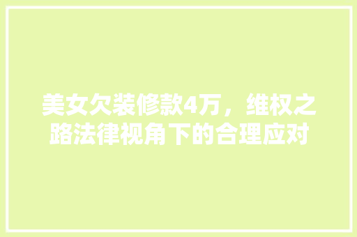 美女欠装修款4万，维权之路法律视角下的合理应对