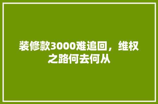 装修款3000难追回，维权之路何去何从
