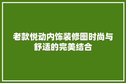 老款悦动内饰装修图时尚与舒适的完美结合