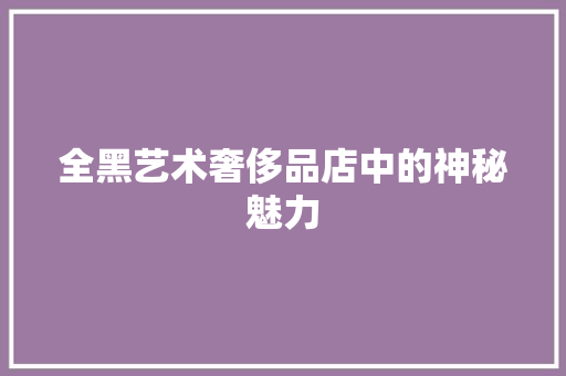 全黑艺术奢侈品店中的神秘魅力