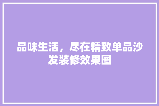 品味生活，尽在精致单品沙发装修效果图  第1张