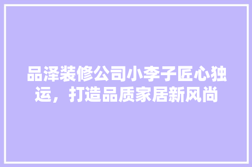 品泽装修公司小李子匠心独运，打造品质家居新风尚