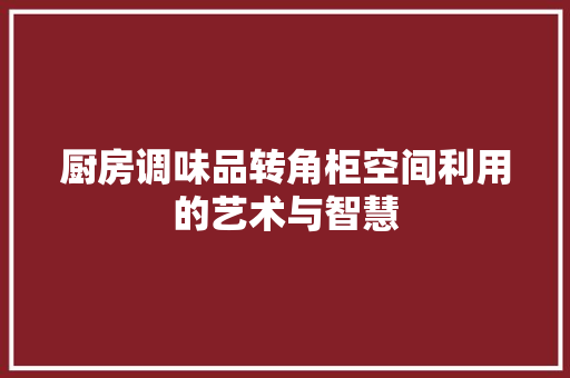 厨房调味品转角柜空间利用的艺术与智慧
