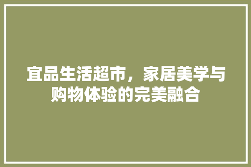 宜品生活超市，家居美学与购物体验的完美融合  第1张
