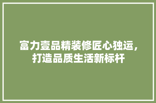 富力壹品精装修匠心独运，打造品质生活新标杆