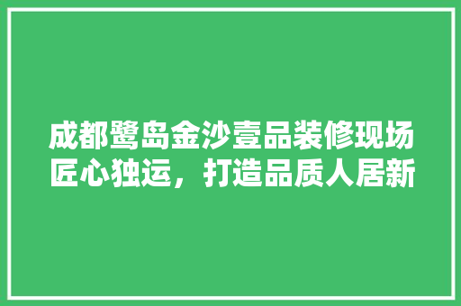 成都鹭岛金沙壹品装修现场匠心独运，打造品质人居新标杆
