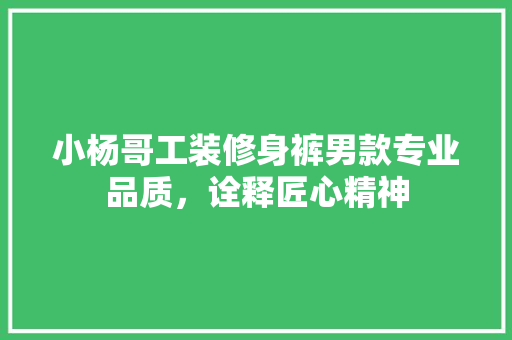 小杨哥工装修身裤男款专业品质，诠释匠心精神