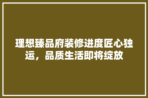 理想臻品府装修进度匠心独运，品质生活即将绽放