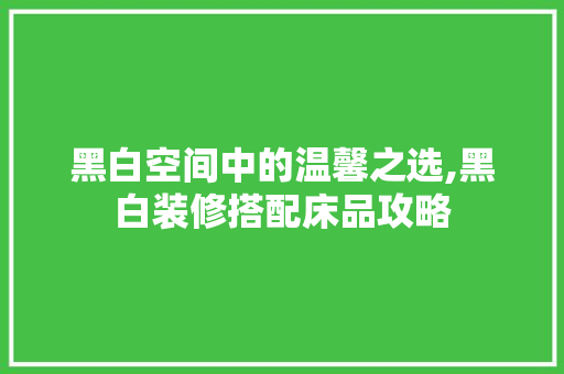 黑白空间中的温馨之选,黑白装修搭配床品攻略