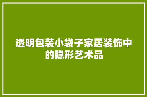 透明包装小袋子家居装饰中的隐形艺术品  第1张