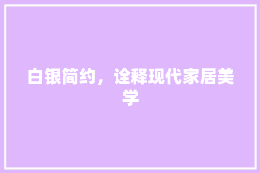 白银简约，诠释现代家居美学