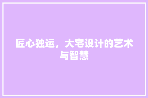 匠心独运，大宅设计的艺术与智慧
