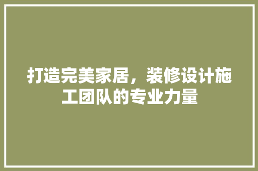 打造完美家居，装修设计施工团队的专业力量