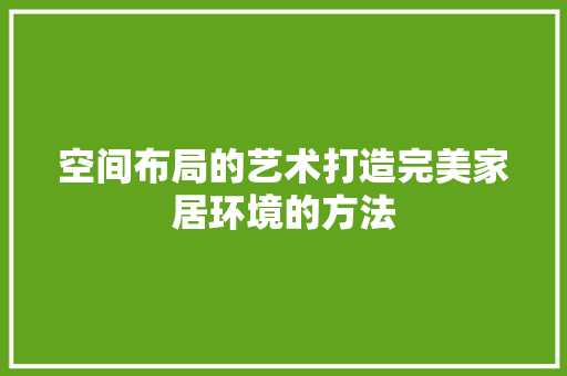 空间布局的艺术打造完美家居环境的方法  第1张