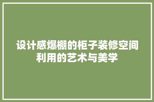 设计感爆棚的柜子装修空间利用的艺术与美学