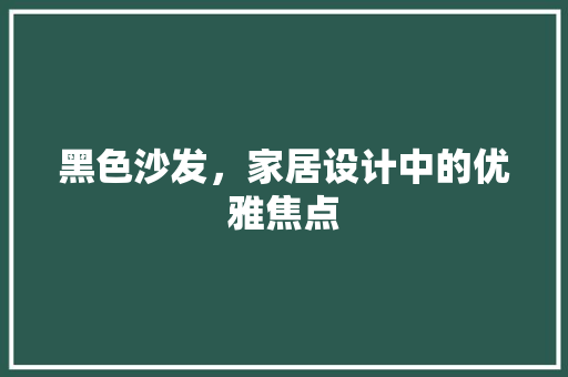 黑色沙发，家居设计中的优雅焦点