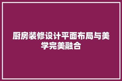 厨房装修设计平面布局与美学完美融合