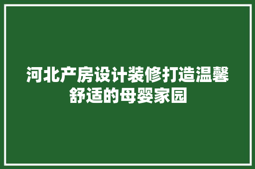 河北产房设计装修打造温馨舒适的母婴家园