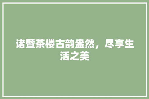 诸暨茶楼古韵盎然，尽享生活之美